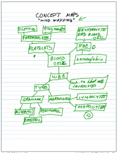 concept map sample