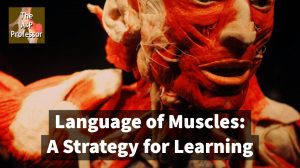 language of muscles