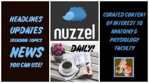 Nuzzel newsletter