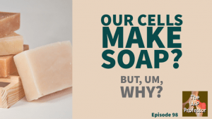 image of bars of soap with caption: our cells make soap? but, um, why?